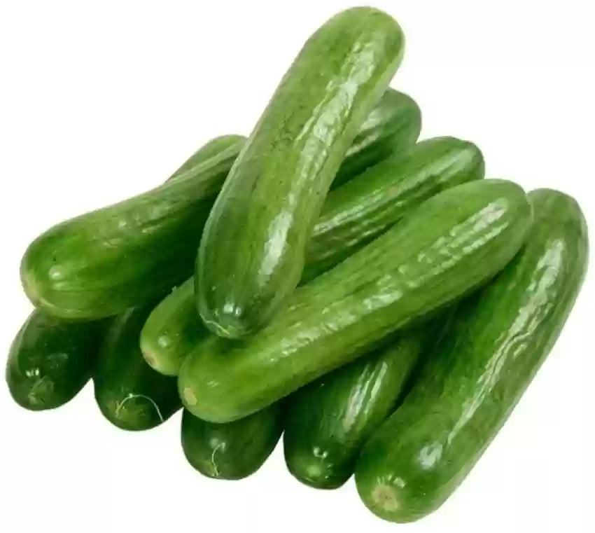 Arola Organic Cucumber Vegetable Seeds for Planting - Heirloom & Non-GMO Garden Seeds