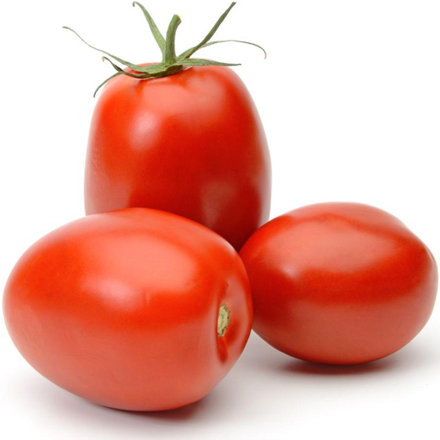 San Marzano Giant Italian Plum Tomato Seeds for Planting - Heirloom & Non-GMO Garden Seeds