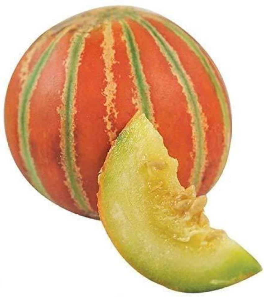 Orange Musk Melon Fruit Seeds for Planting - Heirloom & Non-GMO Seeds