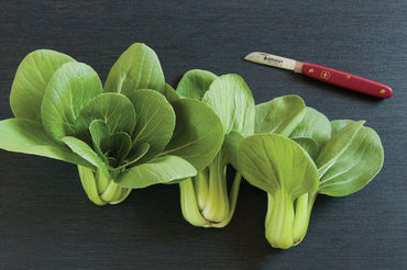 Mei Qing Choi – Bok Choy Seeds