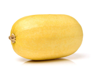 Spaghetti Squash seeds – 2018 heirloom non-GMO vegetable variety
