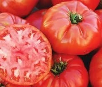 Red Tomato Vegetable Seeds for Planting - heirloom & Non GMO Seeds