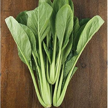 Komatsuna Brassica rapa seeds for home garden planting