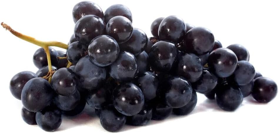 Muscat Grape Fruit (Black) Seeds for Planting - Cultivating Flavorful Muscat Grapes,Heirloom Seeds