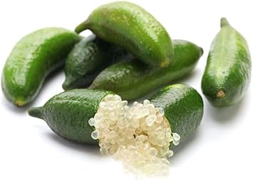 100pcs Lime Fruit Seeds - High Yield for Growing Fresh Limes 100 pcs