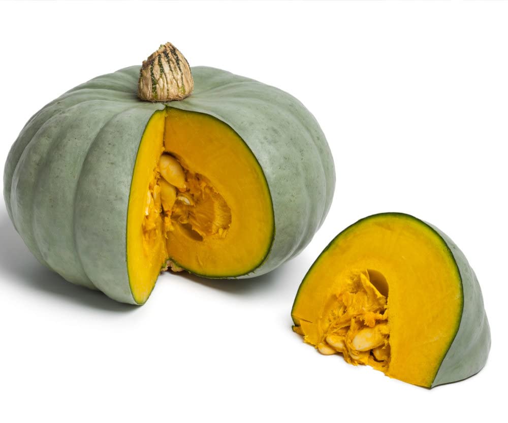 Silver Moon Pumpkin seeds – ghostly white variety for fall displays