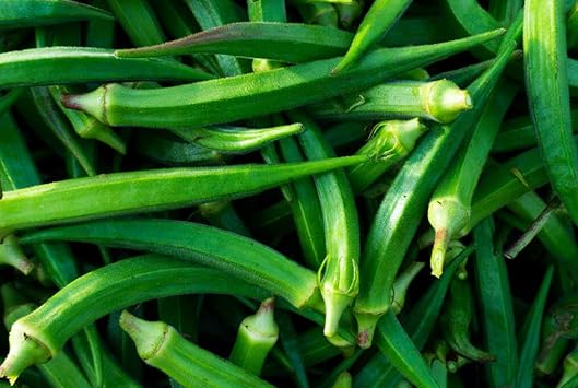 Okra Vegetable Seeds - NON GMO Seeds