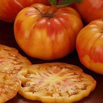 Light Orange Big Tomato Seeds for Planting - Heirloom and Non-GMO garden seeds