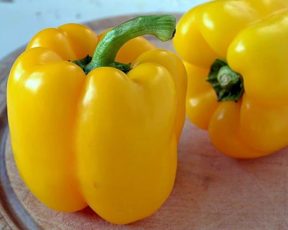 California Golden Bell pepper Capsicum annuum seeds for planting in sunny gardens