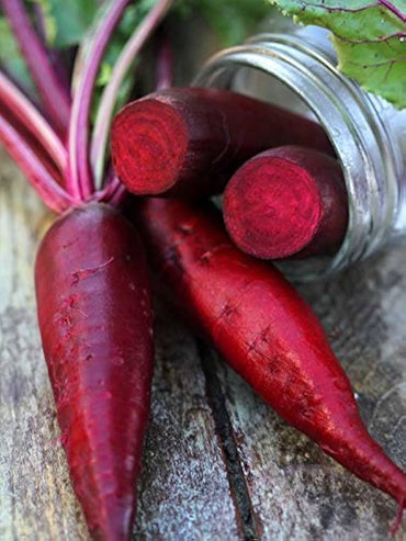 Cylindra beet seeds for planting long red heirloom root vegetables