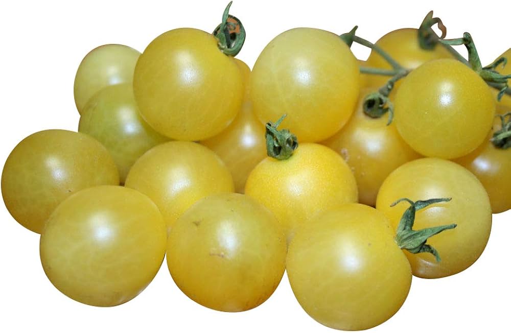 Washington cherry tomato seeds – sweet, early ripening for fresh snacking