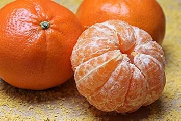 Orange Fruit Seeds for Planting - Dark Orange Variety, Ideal for Home Garden, GMO Free