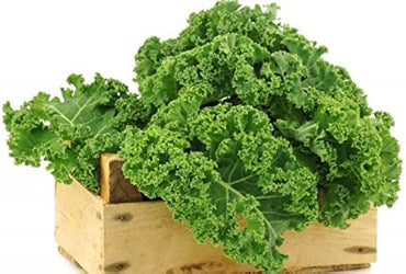 Kale Green Edible Vegetable Seeds