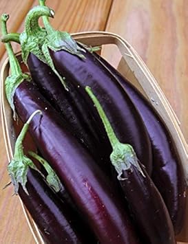 Eggplant Seeds for Planting Violet - 100 pcs