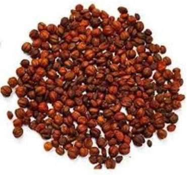 Intellect tree Celastrus paniculatus herb seeds for planting in home herbal garden or pots