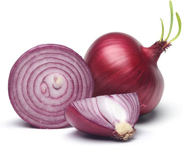 Rossa Piatta Onion Allium Cepa Vegetable Seeds for Planting in Kitchen Garden and Backyard Gardening
