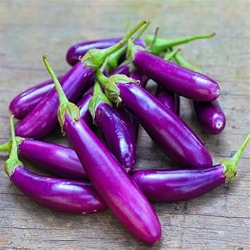 Eggplant Sweet Fruit Seeds for Planting Violet 100 pcs