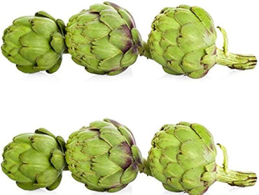 Artichoke Green Globe seeds for planting perennial vegetable garden crops