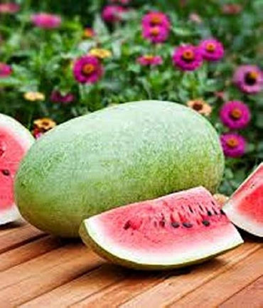 Charleston gray watermelon Citrullus lanatus heirloom fruit seeds for planting in kitchen garden or backyard beds