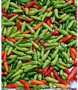 Mixed Chili Vegetable Seeds for Planting, heirloom & Non-GMO Seeds