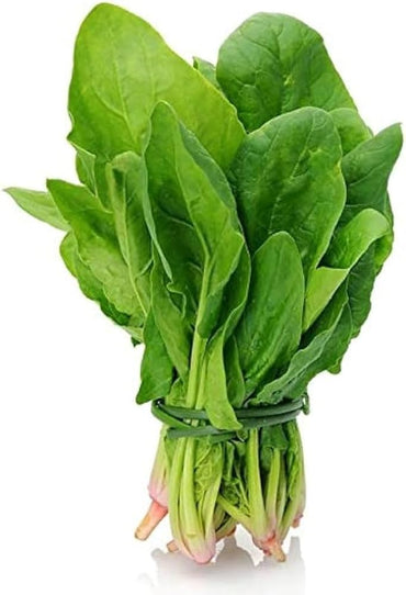 Spinach All Green Vegetable Seeds