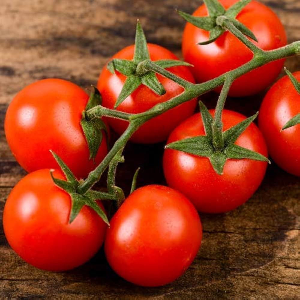 Pot 'n Patio cherry tomato seeds for container-friendly compact growing