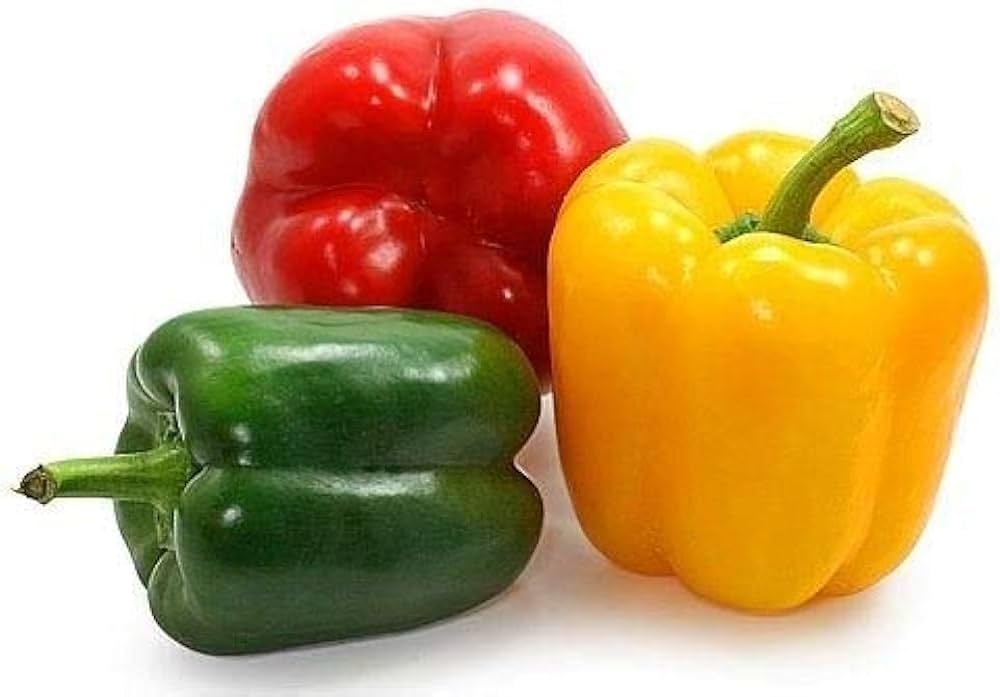 Sweet red pepper Capsicum annuum seeds for planting in organic vegetable gardens