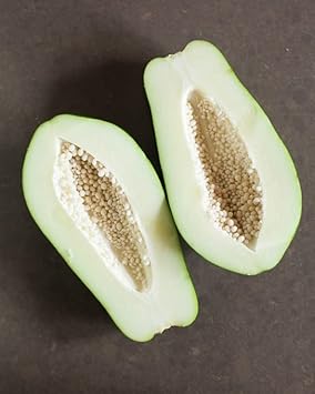 White Papaya Fruit Seeds for Planting - Growing Tropical Trees, Heirloom & Non-GMO Seeds