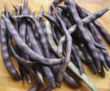 Purple Bean Vegetable Seeds for Planting - 100 pcs