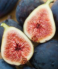 Black Mission Fig Seeds for Planting – Heirloom, Non-GMO Fruit Seeds