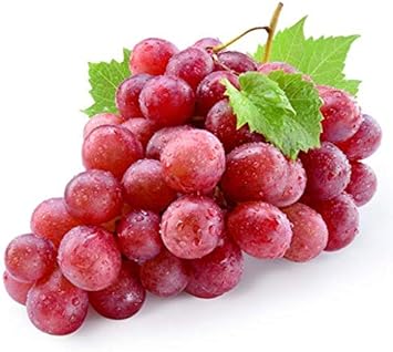 Grape Fruit Seeds for Planting - Light Red Color Variety, Garden and Heirloom Seeds for Home