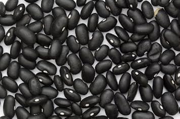 Black Bean Vegetable Seeds for Planting heirloom & Non-GMO Seeds
