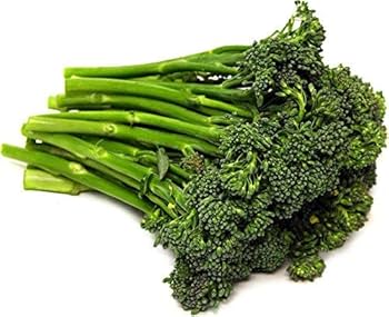 Melody – Broccoli Seed