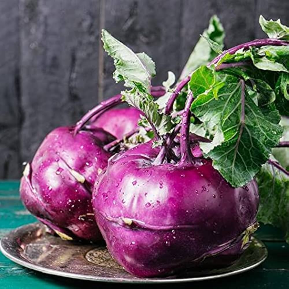 Purple kohlrabi vegetable Brassica oleracea seeds for planting in organic kitchen garden or backyard beds