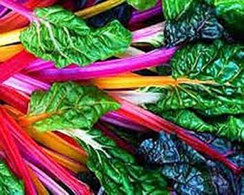 Rainbow Swiss Chard Vegetable Seeds for Planting heirloom & Non-GMO Seeds
