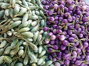 Purple Green Eggplant Seeds for Planting - 100 pcs