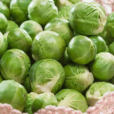 Silvia – Brussels Sprout Seed