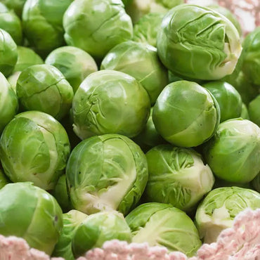 Dagan – Brussels Sprout Seed