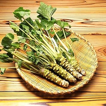 Green Horseradish Seeds for Planting - 100 pcs
