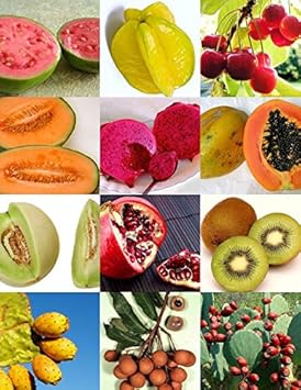 New Fresh 100pcs Mix Edible Fruit Seeds - A Variety Pack of Edible Fruits for Your Garden 100 pcs