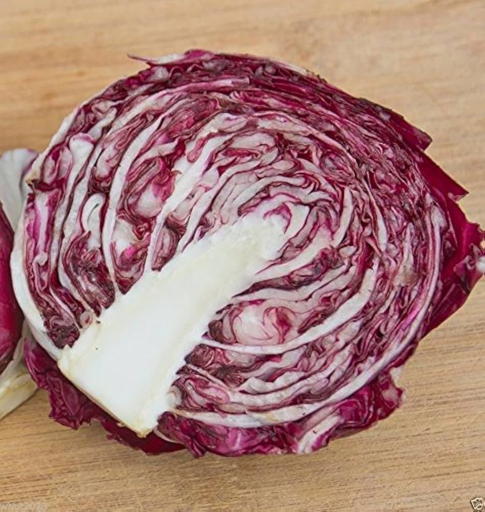Perseo – Radicchio Seed
