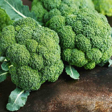 Broccoli ‘Kaiser’ vegetable seeds – nutrient-rich heirloom variety