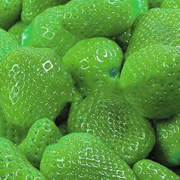 Strawberry Green Fruit Seeds for Planting - Growing Heirloom & non GMO seeds