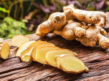Pink Shell Ginger Alpinia Zerumbet Flower Seeds for Planting in Tropical Gardens and Indoor Pots