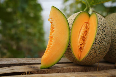 Cantaloupe ‘Heart of Gold’ melon seeds – juicy, aromatic fruit variety