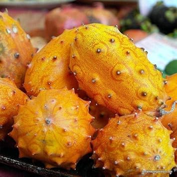 70pcs Kiwano Fruit Seeds - Exotic Horned Melons for Your Garden 100 pcs