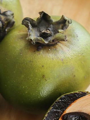 Black Sapote Fruit Seeds for Planting – Heirloom & Non-GMO Tropical Garden Seeds