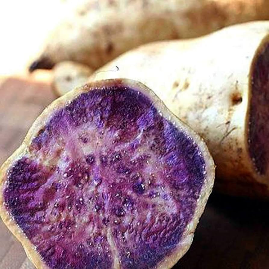 Mini Giant Purple Potato Nutritious Vegetable Seeds for Planting