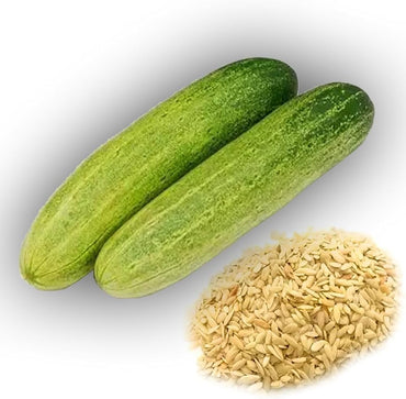Cucumber vegetable Cucumis sativus green seeds for planting in kitchen garden beds or vertical garden setups