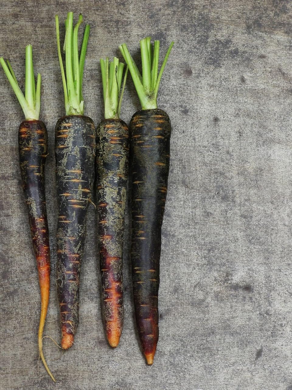 Black Carrot Seeds for Planting - 100 pcs